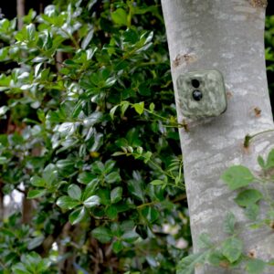 How Hidden Surveillance Devices Are Fuelling Domestic Abuse and Stalking