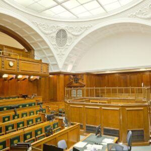 Can a Private Investigator Be an Expert Witness?